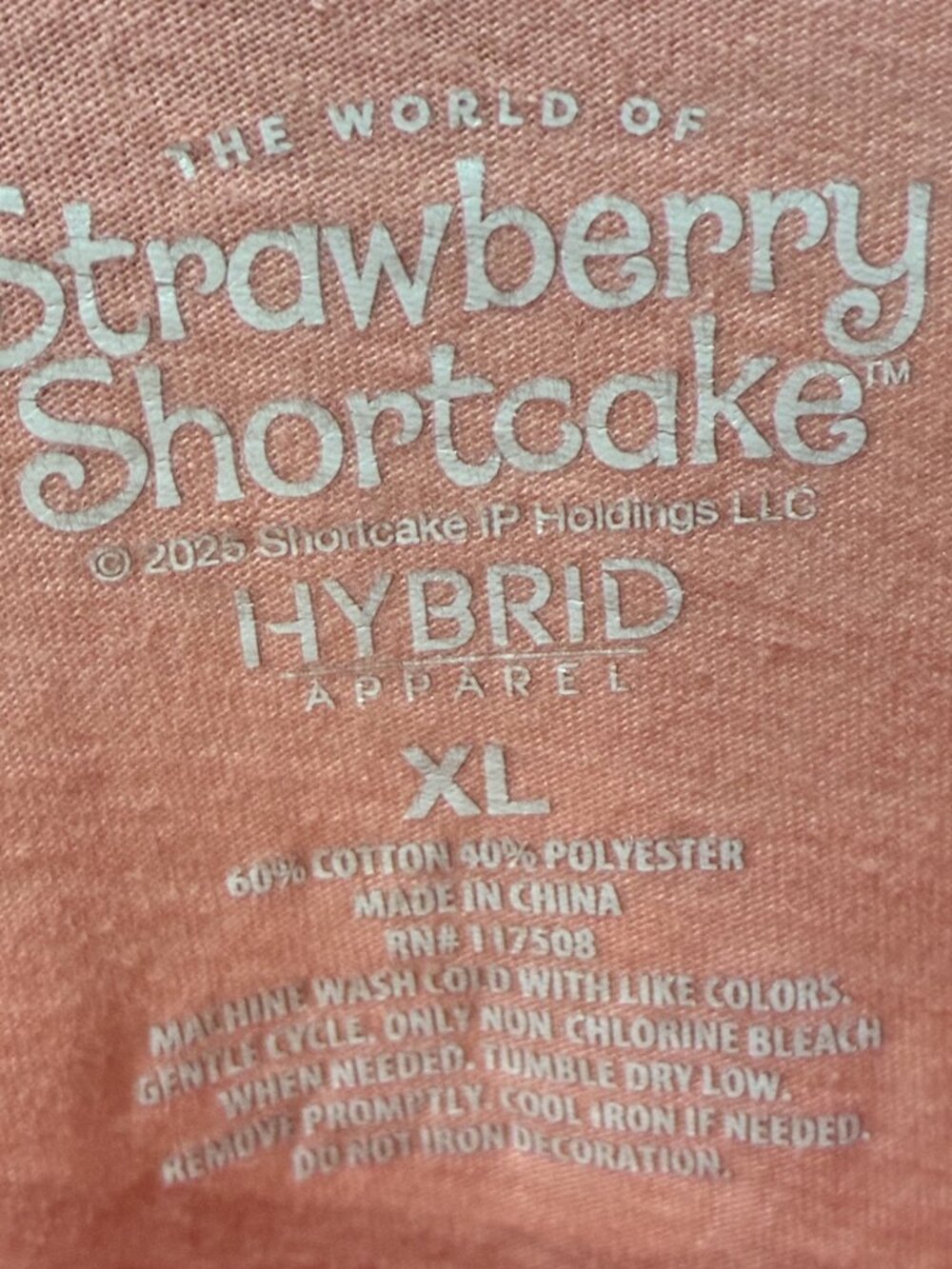 Strawberry Shortcake Y2K Nostalgic Orange Blossom Kawaii Graphic Tee Pink XL - Picture 4 of 4